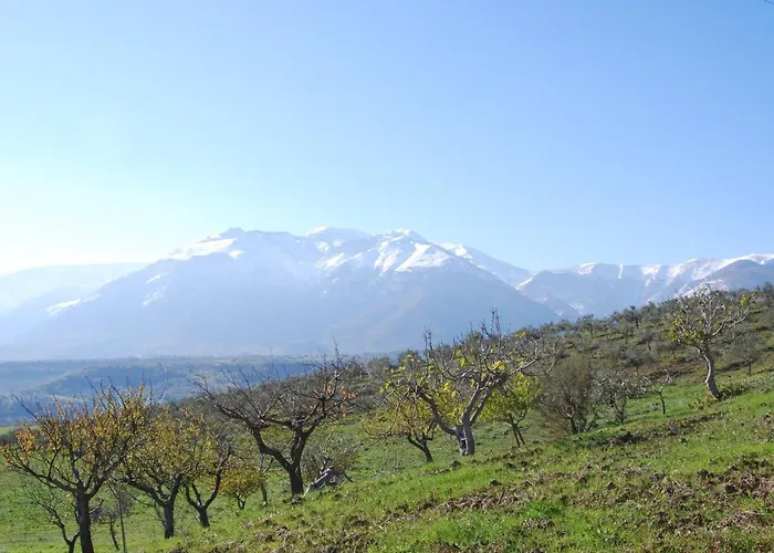 דירה Casa Con Vista Rentals, Honeysuckle *