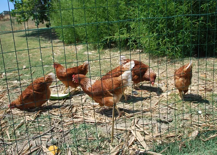 Casa Con Vista Rentals, Honeysuckle דירה גוארדיאגרלה